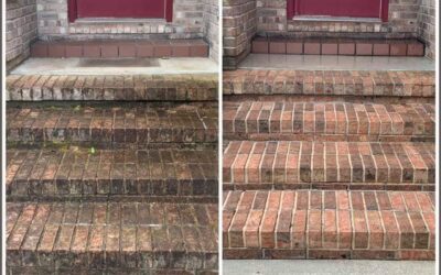5 Seasonal Exterior Cleaning Tips Every Tennessee Homeowner Should Know