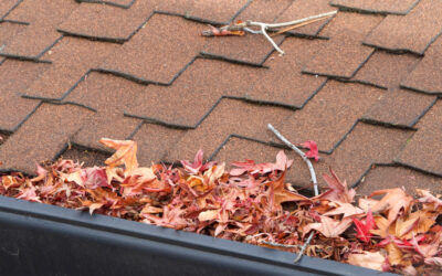 How Gutter Guards Can Save Your Home from Costly Water Damage