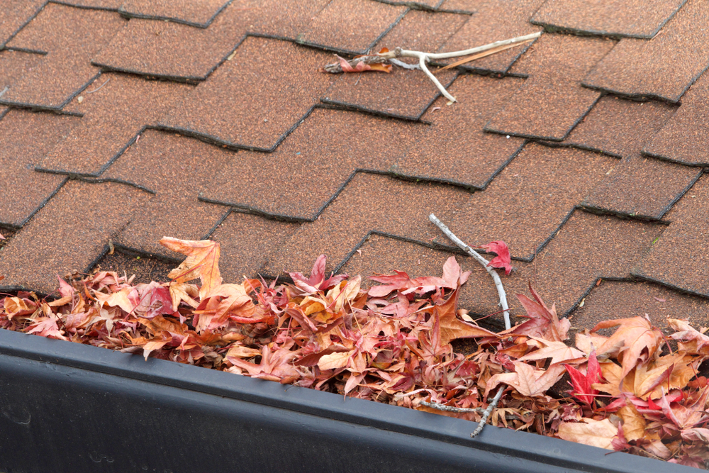 How Gutter Guards Can Save Your Home from Costly Water Damage 